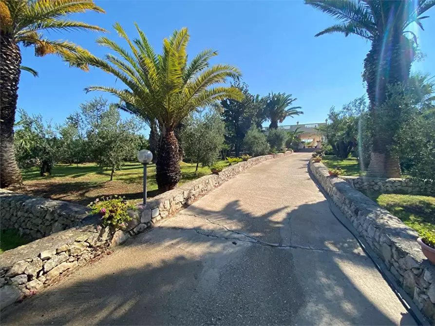 Immagine 21 di Villa in vendita  in CONTRADA DON CIRILLO  a Ugento