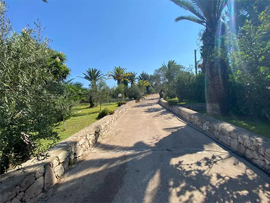 Immagine 7 di Villa in vendita  in CONTRADA DON CIRILLO  a Ugento