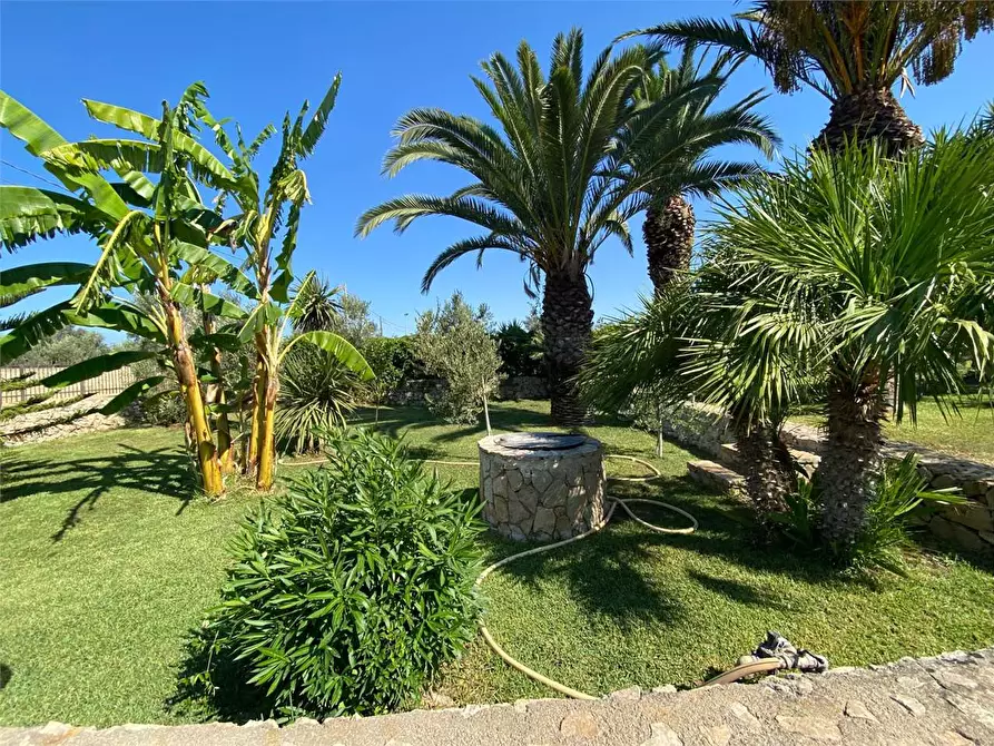 Immagine 8 di Villa in vendita  in CONTRADA DON CIRILLO  a Ugento