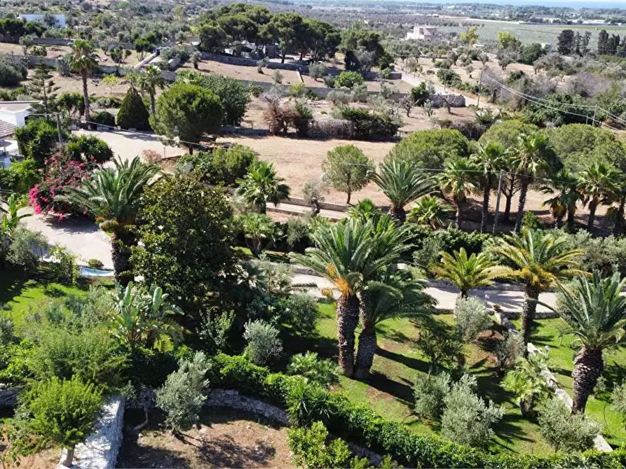 Immagine 3 di Villa in vendita  in CONTRADA DON CIRILLO  a Ugento