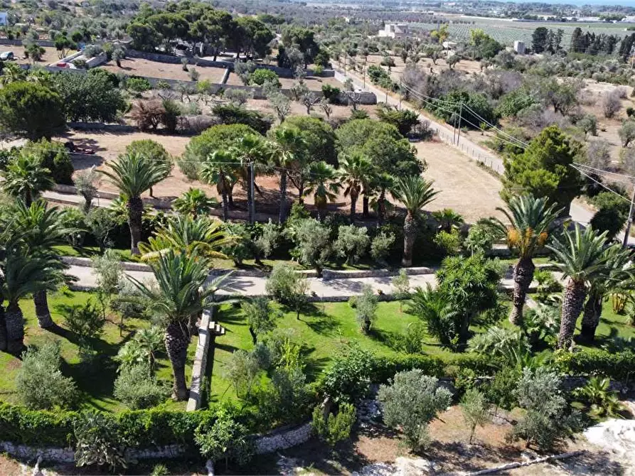 Immagine 11 di Villa in vendita  in CONTRADA DON CIRILLO  a Ugento