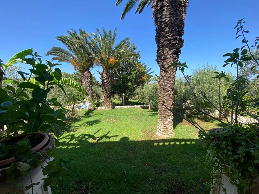 Immagine 14 di Villa in vendita  in CONTRADA DON CIRILLO  a Ugento