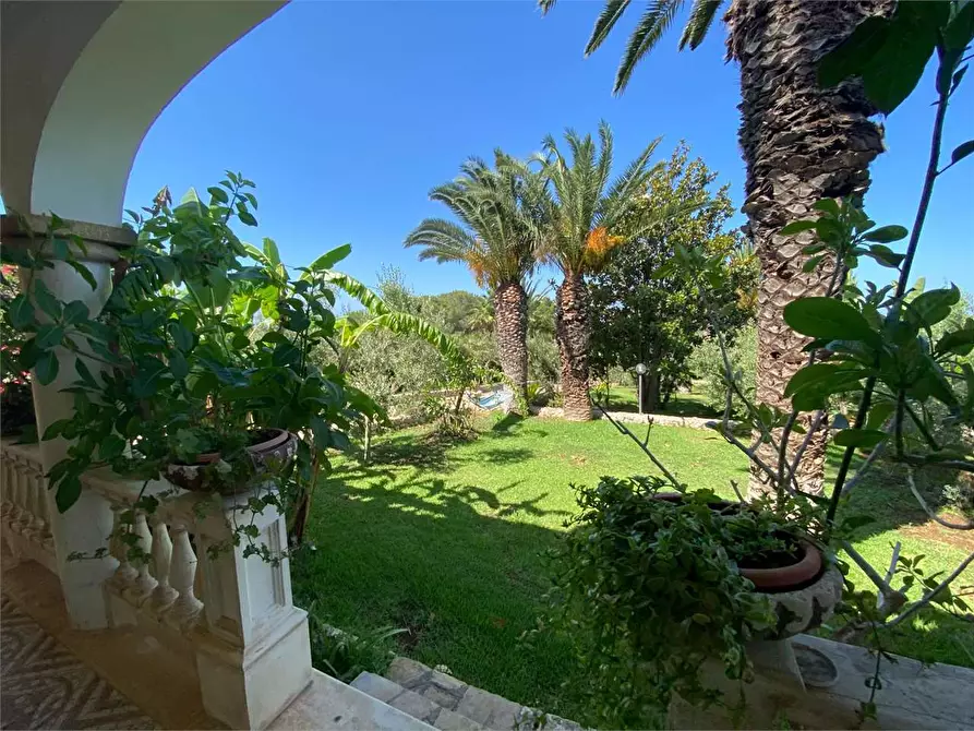 Immagine 18 di Villa in vendita  in CONTRADA DON CIRILLO  a Ugento