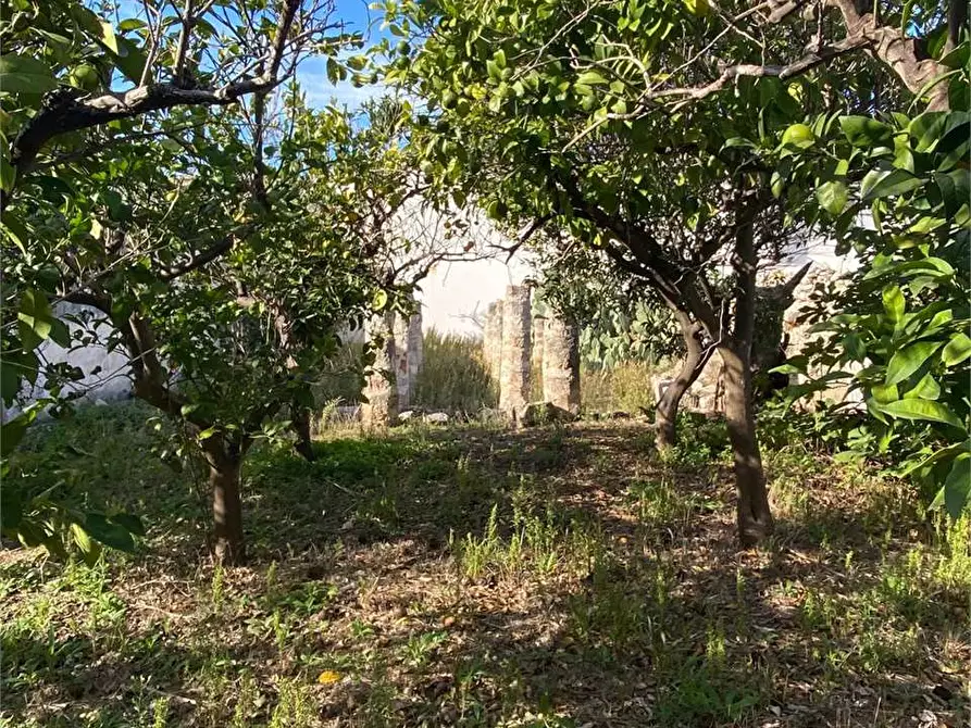 Immagine 42 di Rustico / casale in vendita  a Alliste