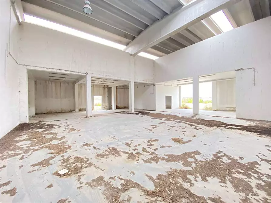 Immagine 14 di Capannone industriale in vendita  in Galileo Ferraris a Brindisi