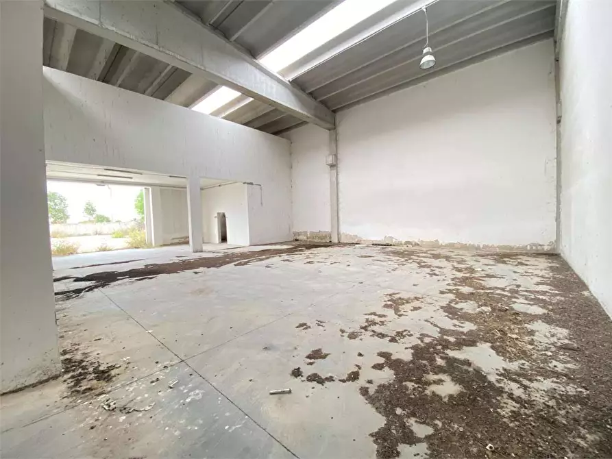 Immagine 15 di Capannone industriale in vendita  in Galileo Ferraris a Brindisi