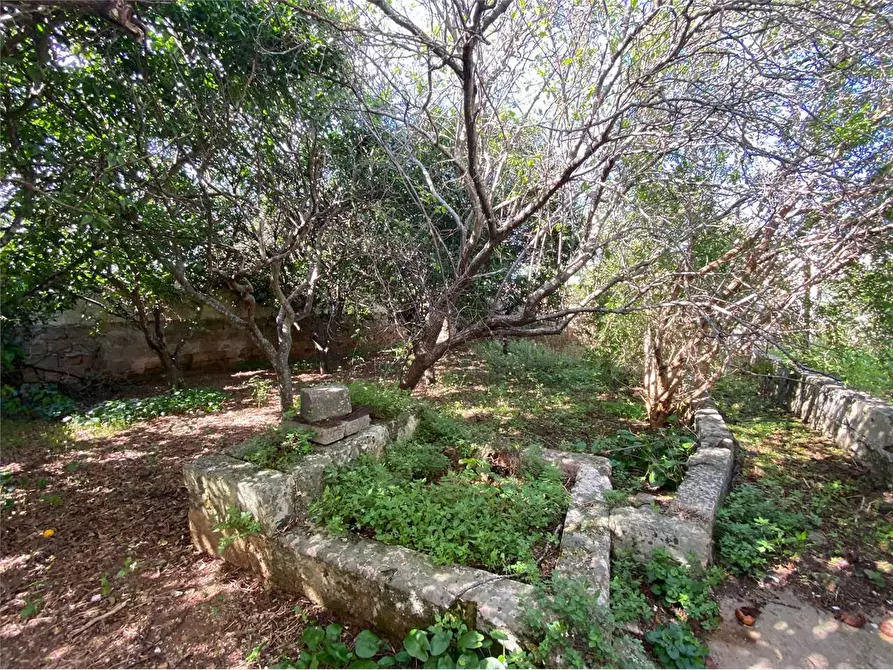 Immagine 16 di Casa indipendente in vendita  in piazza san lorenzo a Morciano Di Leuca