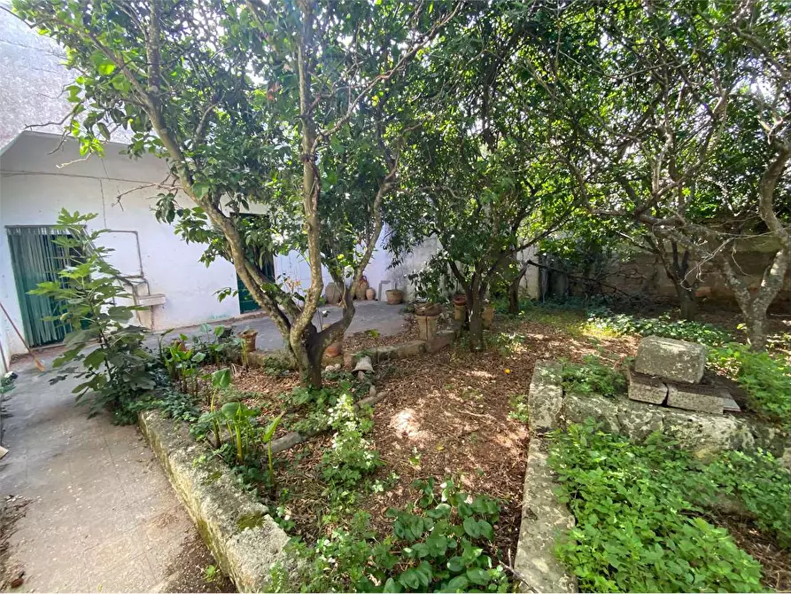 Immagine 17 di Casa indipendente in vendita  in piazza san lorenzo a Morciano Di Leuca