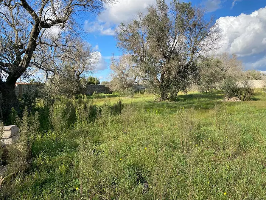 Immagine 9 di Rustico / casale in vendita  in zona industriale  a Casarano
