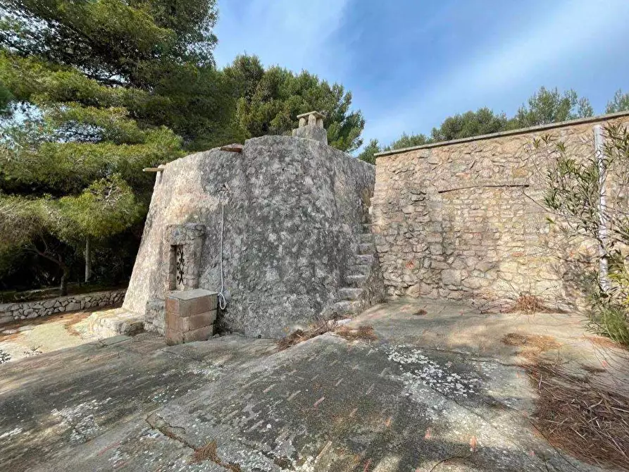 Immagine 23 di Villa in vendita  in litoranea x leuca a Salve