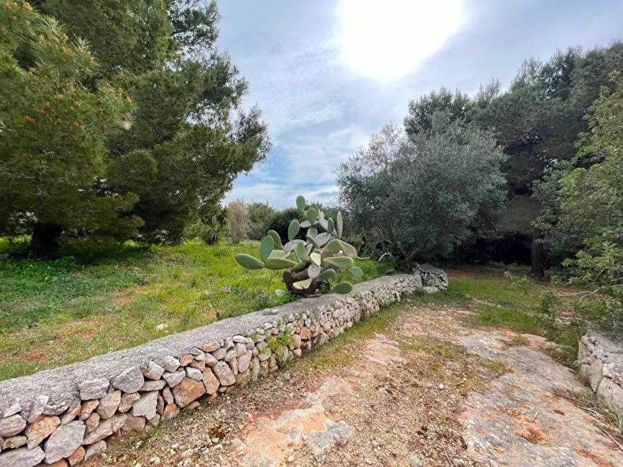Immagine 28 di Villa in vendita  in litoranea x leuca a Salve