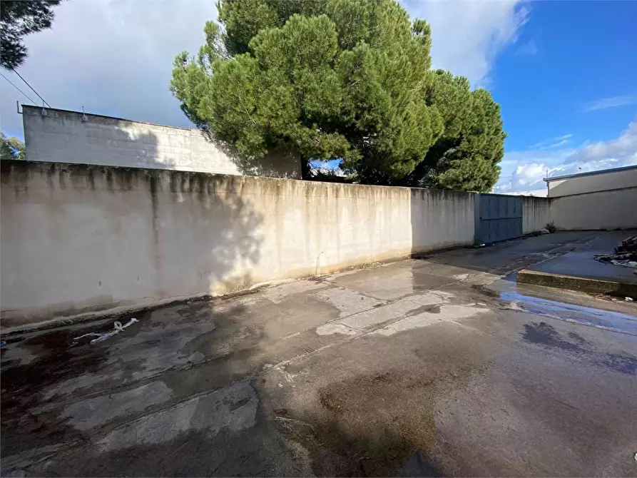 Immagine 7 di Capannone industriale in vendita  in via maestri del lavoro 1 a Matino