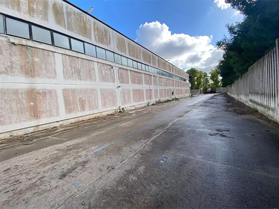 Immagine 12 di Capannone industriale in vendita  in via maestri del lavoro 1 a Matino