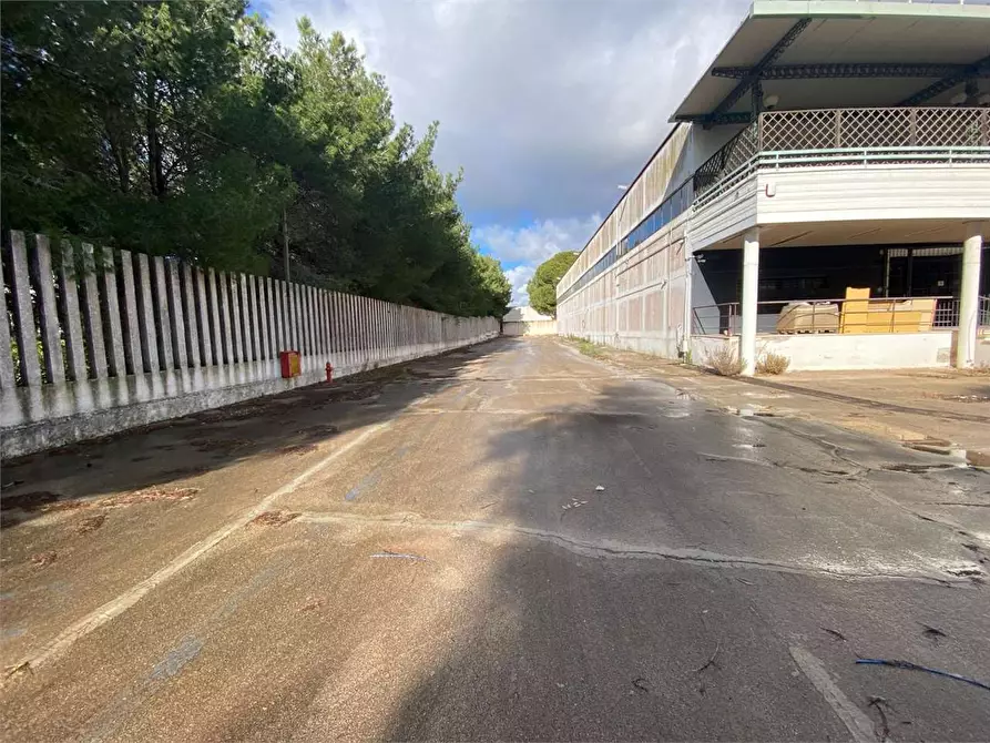 Immagine 17 di Capannone industriale in vendita  in via maestri del lavoro 1 a Matino