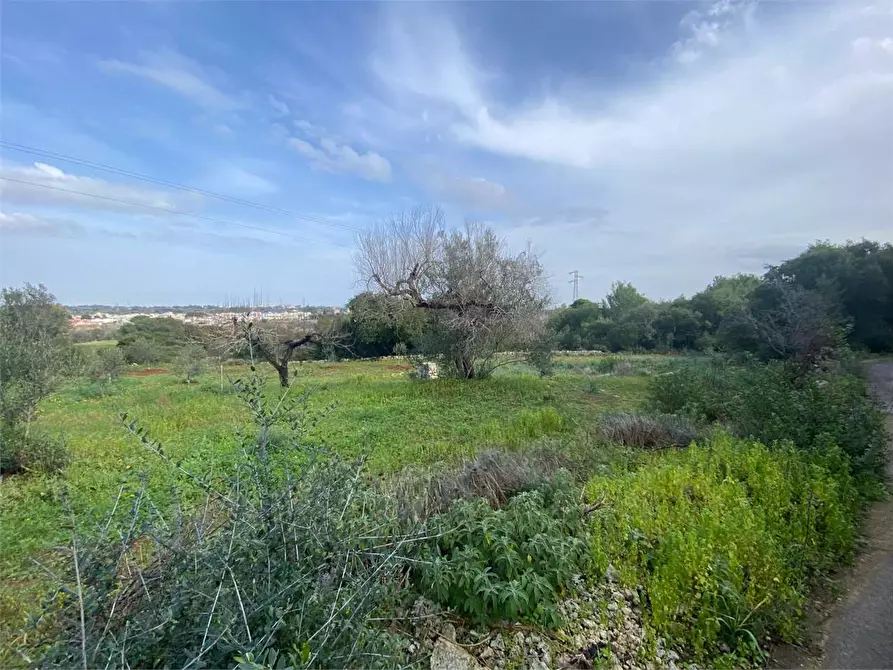 Immagine 4 di Terreno edificabile in vendita  in barbarano a Morciano Di Leuca