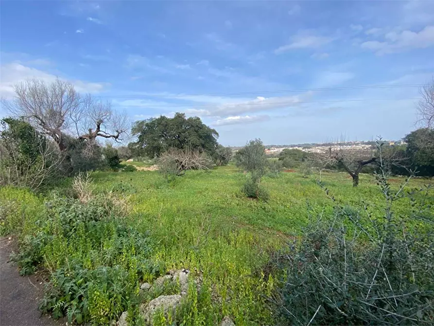 Immagine 5 di Terreno edificabile in vendita  in barbarano a Morciano Di Leuca