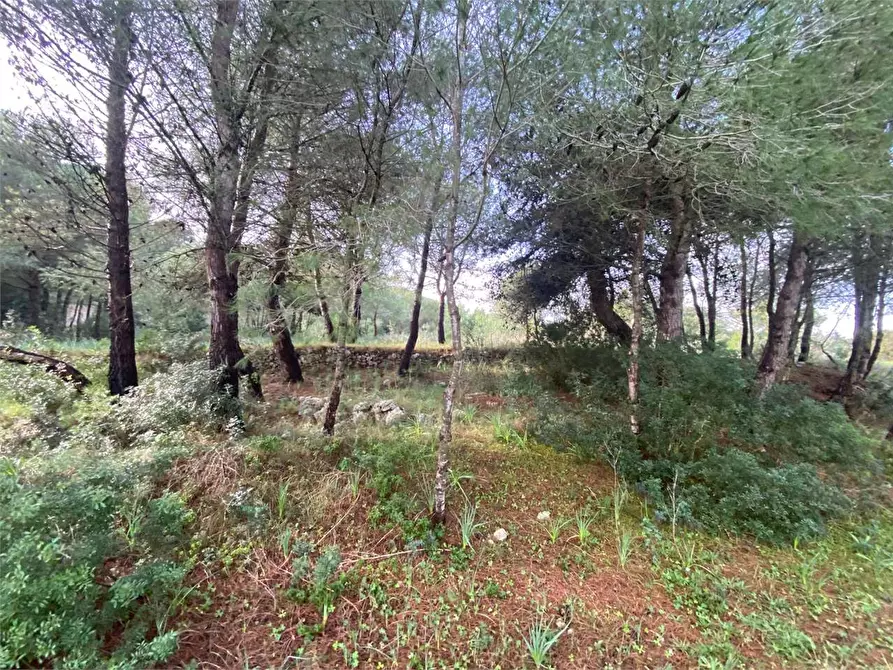 Immagine 6 di Terreno edificabile in vendita  in barbarano a Morciano Di Leuca