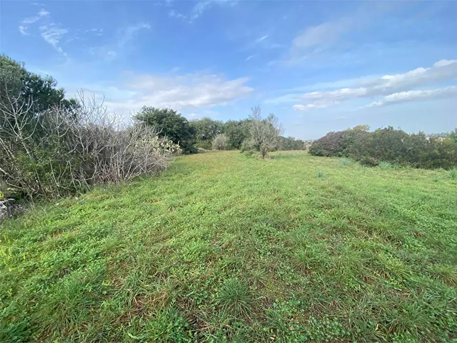 Immagine 2 di Terreno edificabile in vendita  in barbarano a Morciano Di Leuca