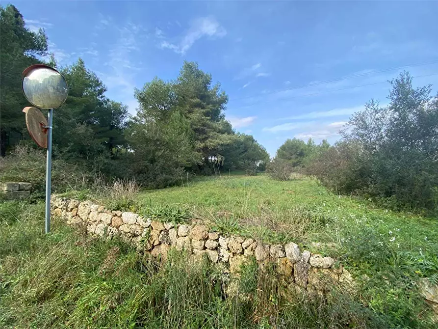 Immagine 13 di Terreno edificabile in vendita  in barbarano a Morciano Di Leuca