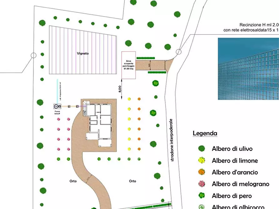 Immagine 5 di Terreno edificabile in vendita  in strada vicinale pagane a Casarano