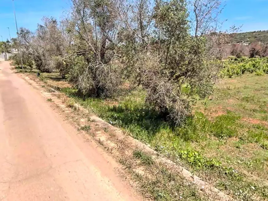 Immagine 8 di Terreno edificabile in vendita  in strada vicinale pagane a Casarano