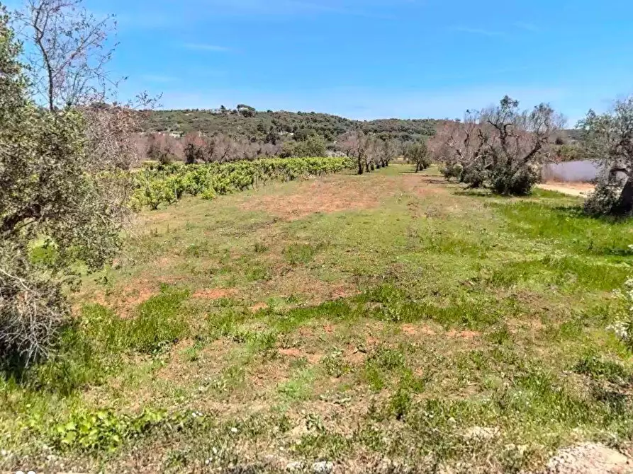 Immagine 4 di Terreno edificabile in vendita  in strada vicinale pagane a Casarano