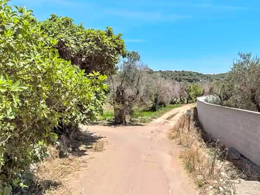 Immagine 19 di Terreno edificabile in vendita  in strada vicinale pagane a Casarano