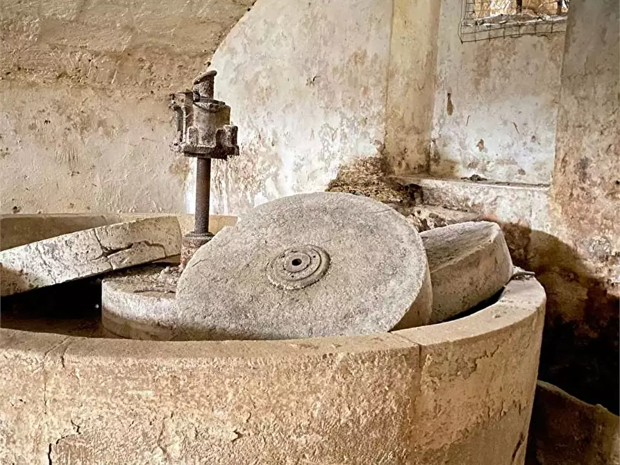 Immagine 23 di Casa indipendente in vendita  in via umberto primo a Racale