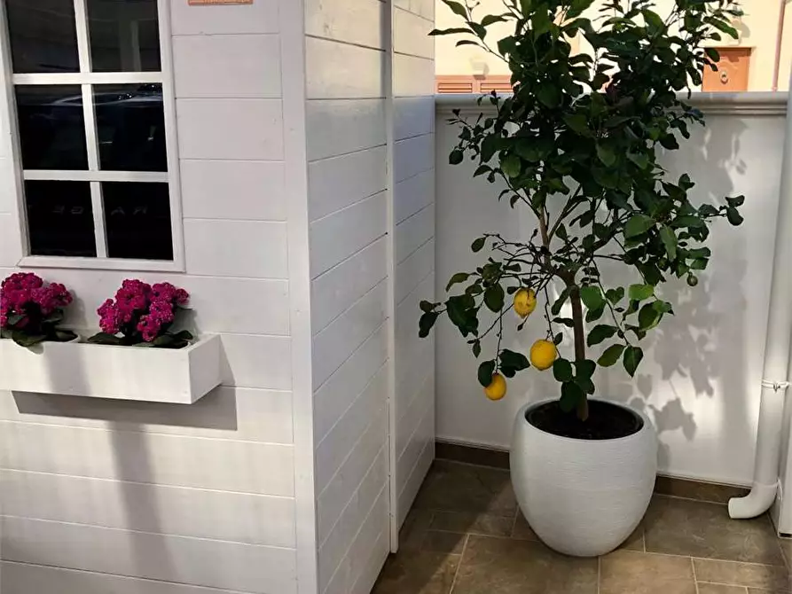 Immagine 17 di Casa indipendente in vendita  in via cisternella  9 a Alliste