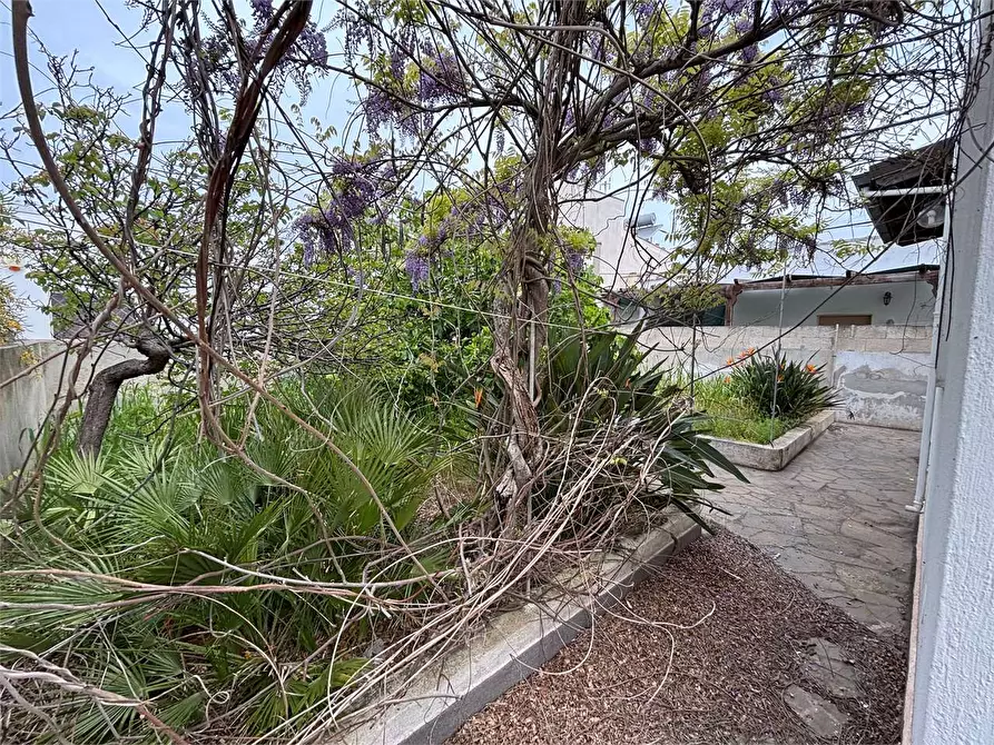 Immagine 12 di Villa in vendita  in Via arciprete verardi a Alliste