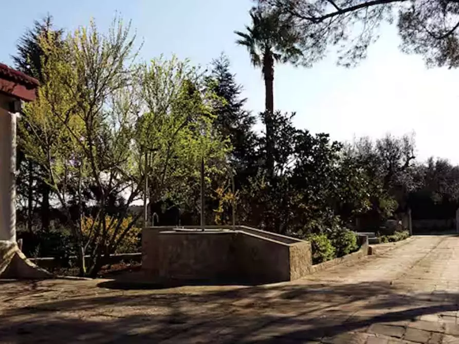 Immagine 20 di Villa in vendita  in Contrada gualtieri snc a Matino