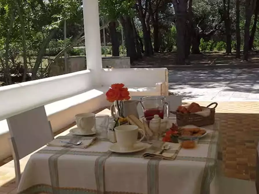 Immagine 12 di Villa in vendita  in Contrada gualtieri snc a Matino