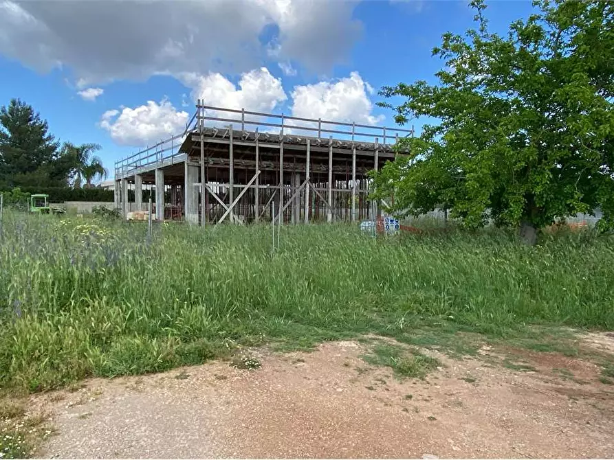 Immagine 3 di Rustico / casale in vendita  in via de andre a Casarano