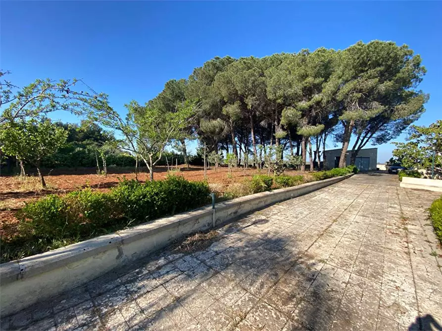 Immagine 8 di Villa in vendita  in Contrada gualtieri snc a Matino