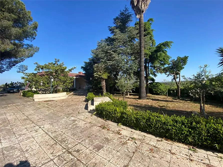 Immagine 22 di Villa in vendita  in Contrada gualtieri snc a Matino