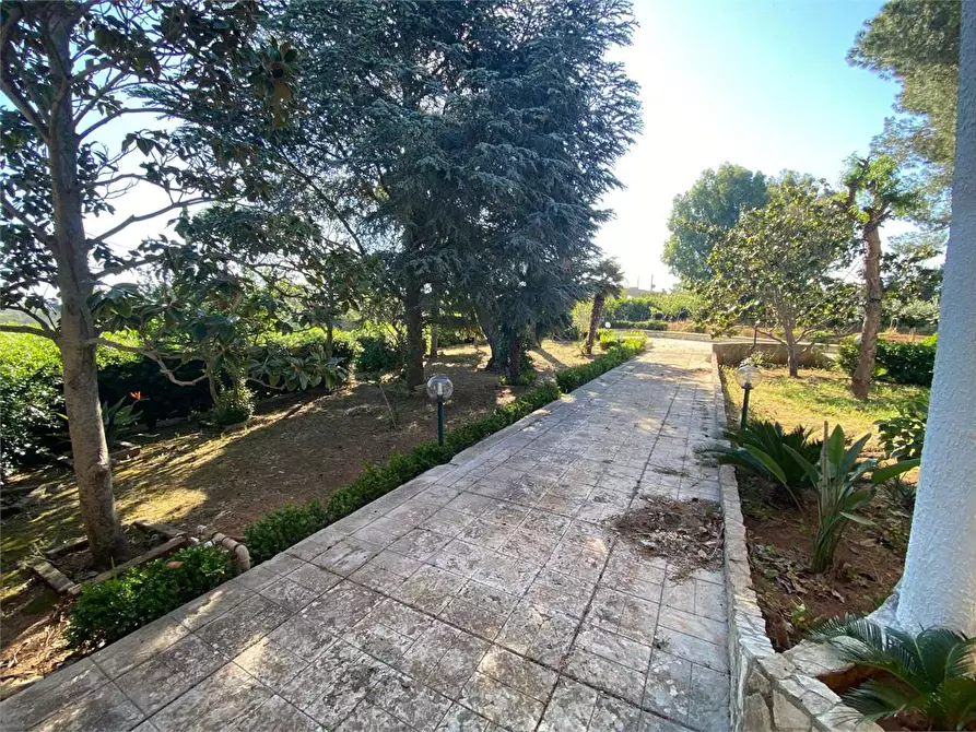 Immagine 23 di Villa in vendita  in Contrada gualtieri snc a Matino