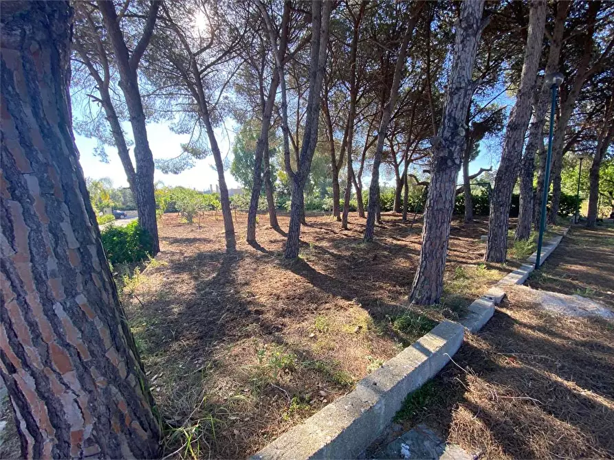 Immagine 32 di Villa in vendita  in Contrada gualtieri snc a Matino