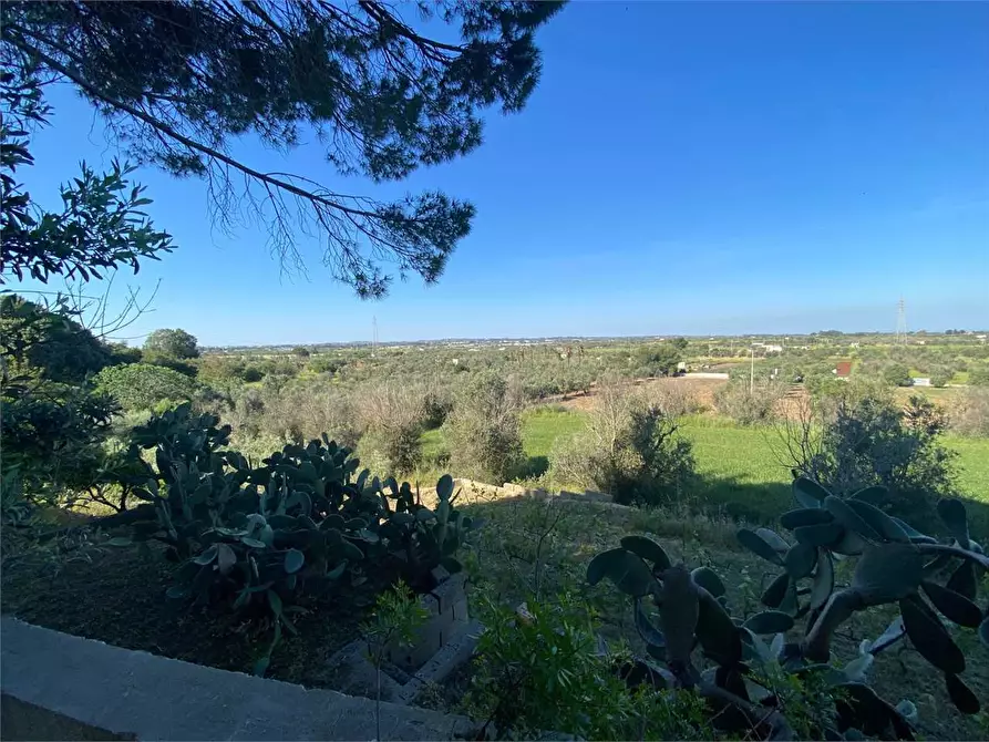 Immagine 33 di Villa in vendita  in Contrada gualtieri snc a Matino