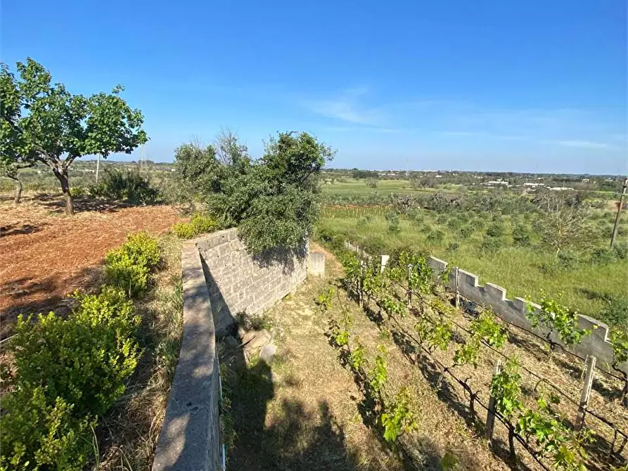 Immagine 36 di Villa in vendita  in Contrada gualtieri snc a Matino