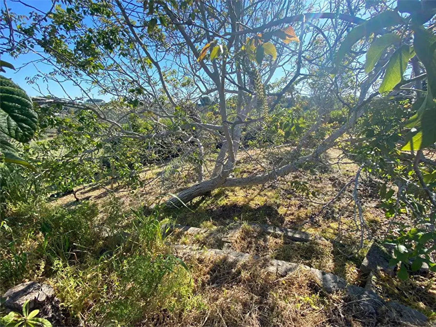 Immagine 39 di Villa in vendita  in Contrada gualtieri snc a Matino