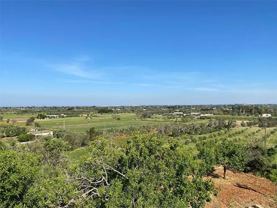 Immagine 40 di Villa in vendita  in Contrada gualtieri snc a Matino
