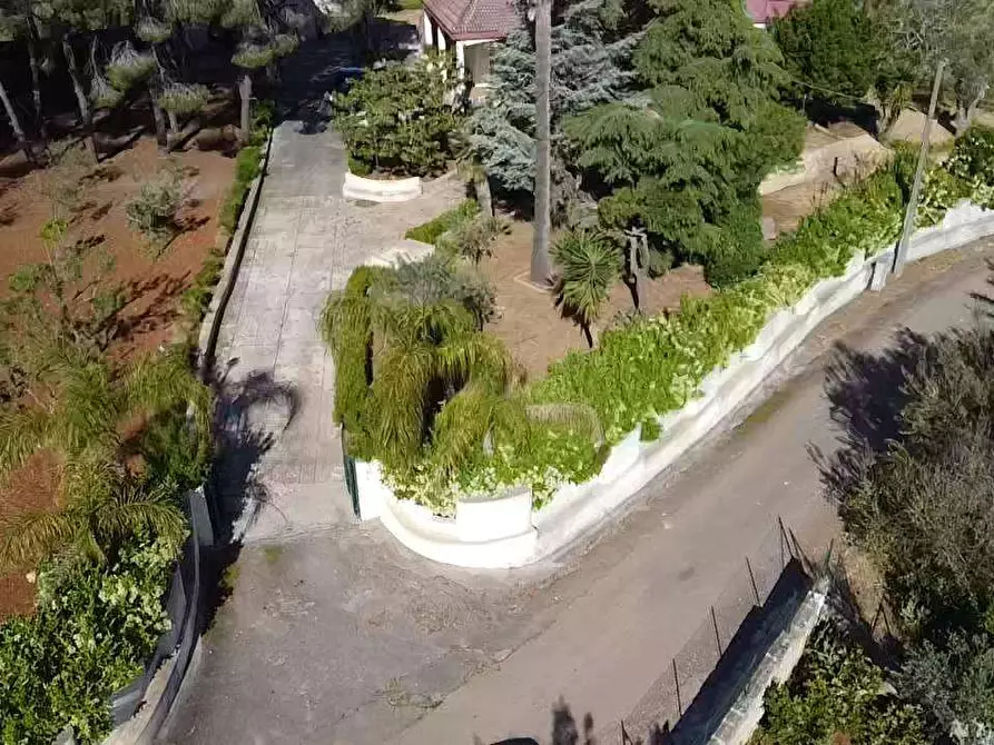 Immagine 45 di Villa in vendita  in Contrada gualtieri snc a Matino