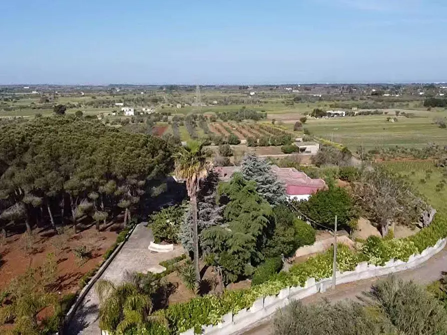 Immagine 2 di Villa in vendita  in Contrada gualtieri snc a Matino