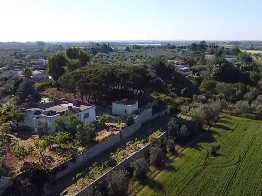 Immagine 46 di Villa in vendita  in Contrada gualtieri snc a Matino