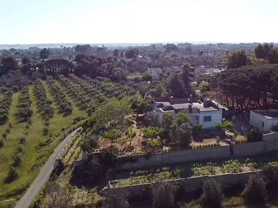 Immagine 6 di Villa in vendita  in Contrada gualtieri snc a Matino