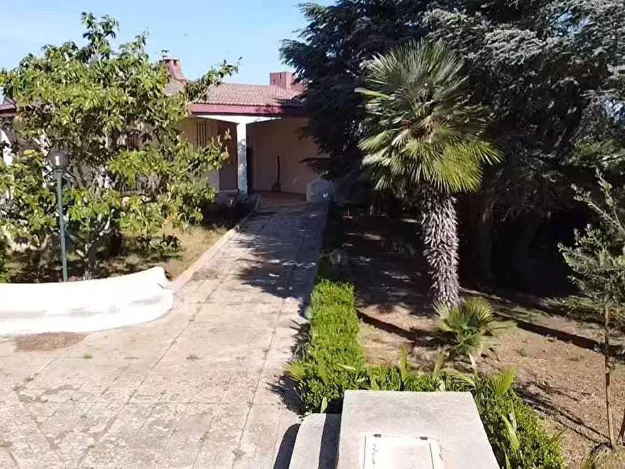 Immagine 47 di Villa in vendita  in Contrada gualtieri snc a Matino