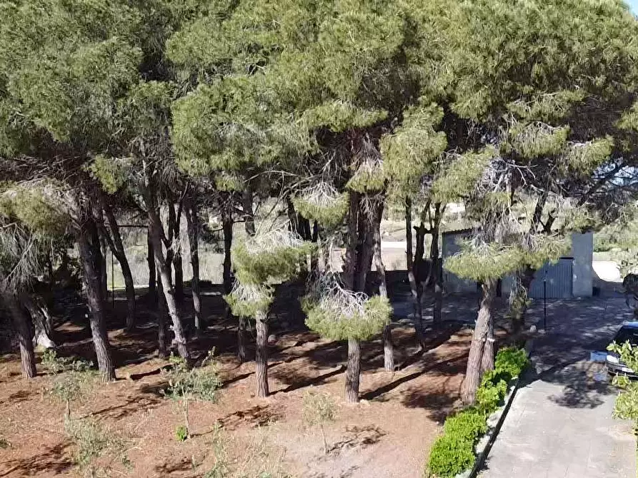 Immagine 48 di Villa in vendita  in Contrada gualtieri snc a Matino