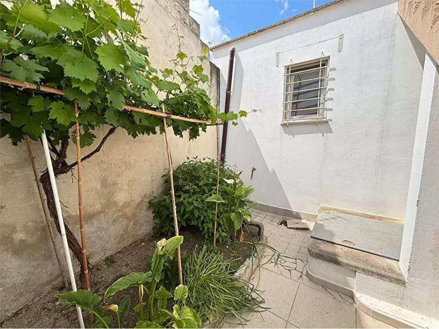 Immagine 13 di Casa indipendente in vendita  in via nino bixio 13 a Botrugno