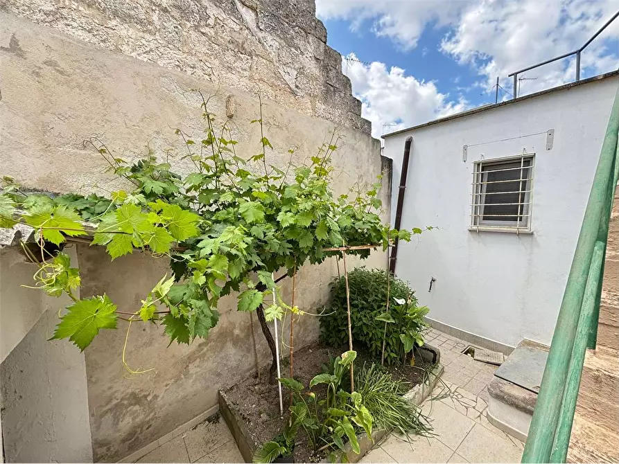 Immagine 21 di Casa indipendente in vendita  in via nino bixio 13 a Botrugno