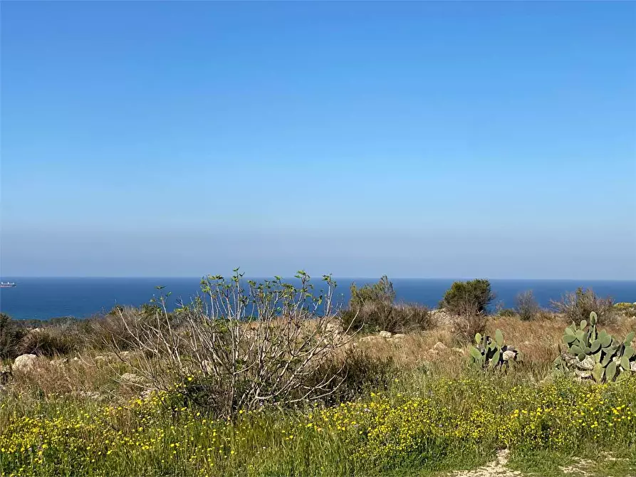 Immagine 17 di Villa in vendita  in sp 275 a Gallipoli